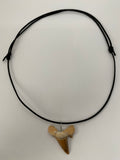 Fossil Shark Tooth Necklace