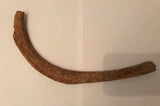 Walrus Rib - ca. 29,5 cm